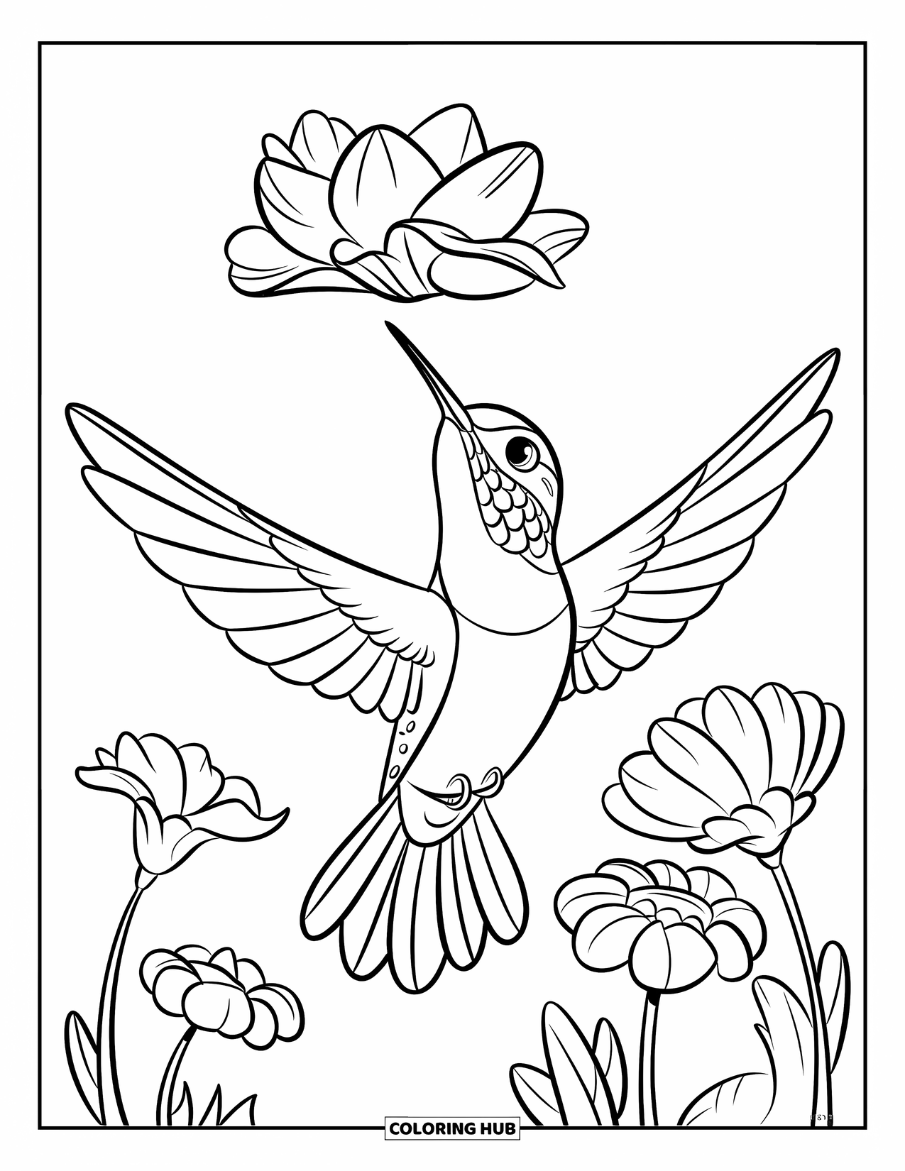100 Hummingbird Coloring Pages For Kids Adults Free Printable PDFs 