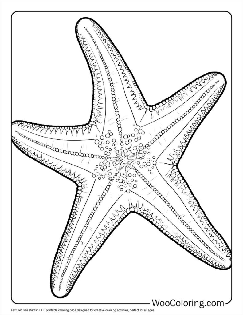 starfish coloring page starfish coloring page