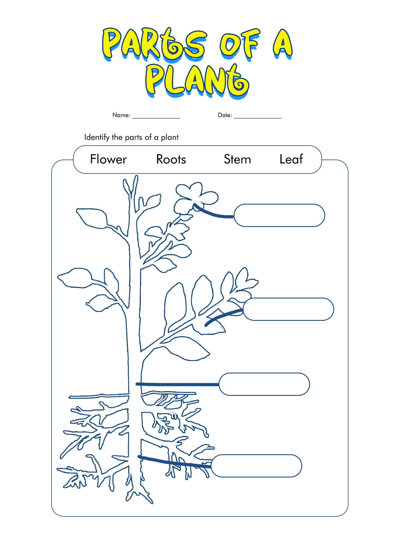 parts of a plant worksheet