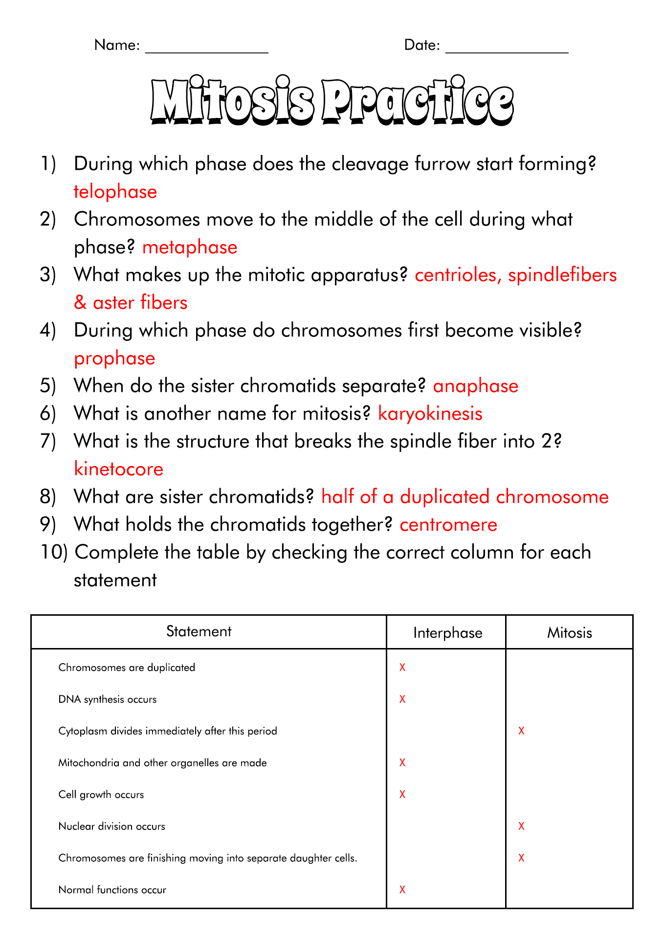 15 Onion Cell Mitosis Worksheet Answers Free PDF At Worksheeto 15 Onion Cell Mitosis Worksheet Answers Free PDF At Worksheeto