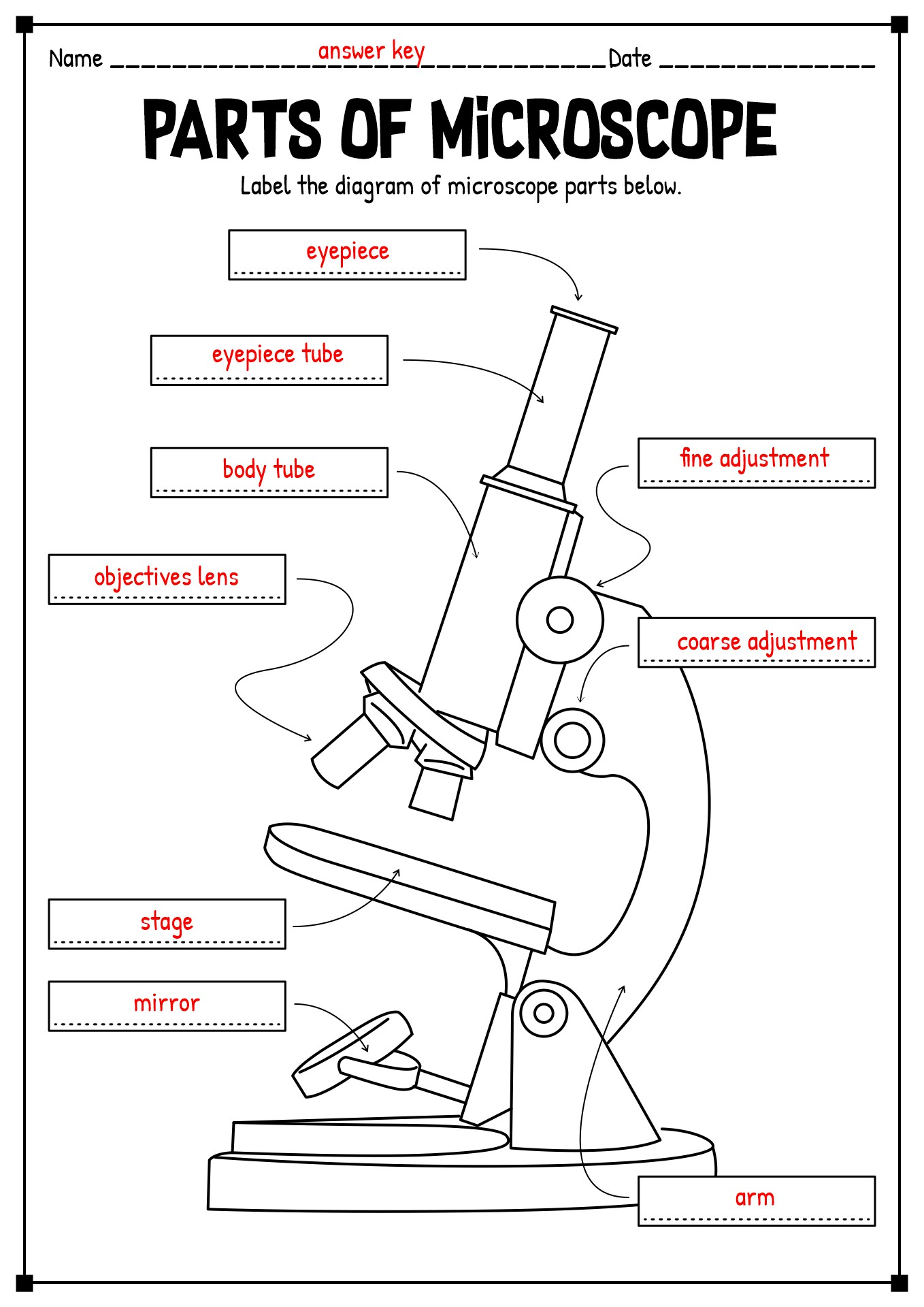 parts of a microscope worksheet parts of a microscope worksheet
