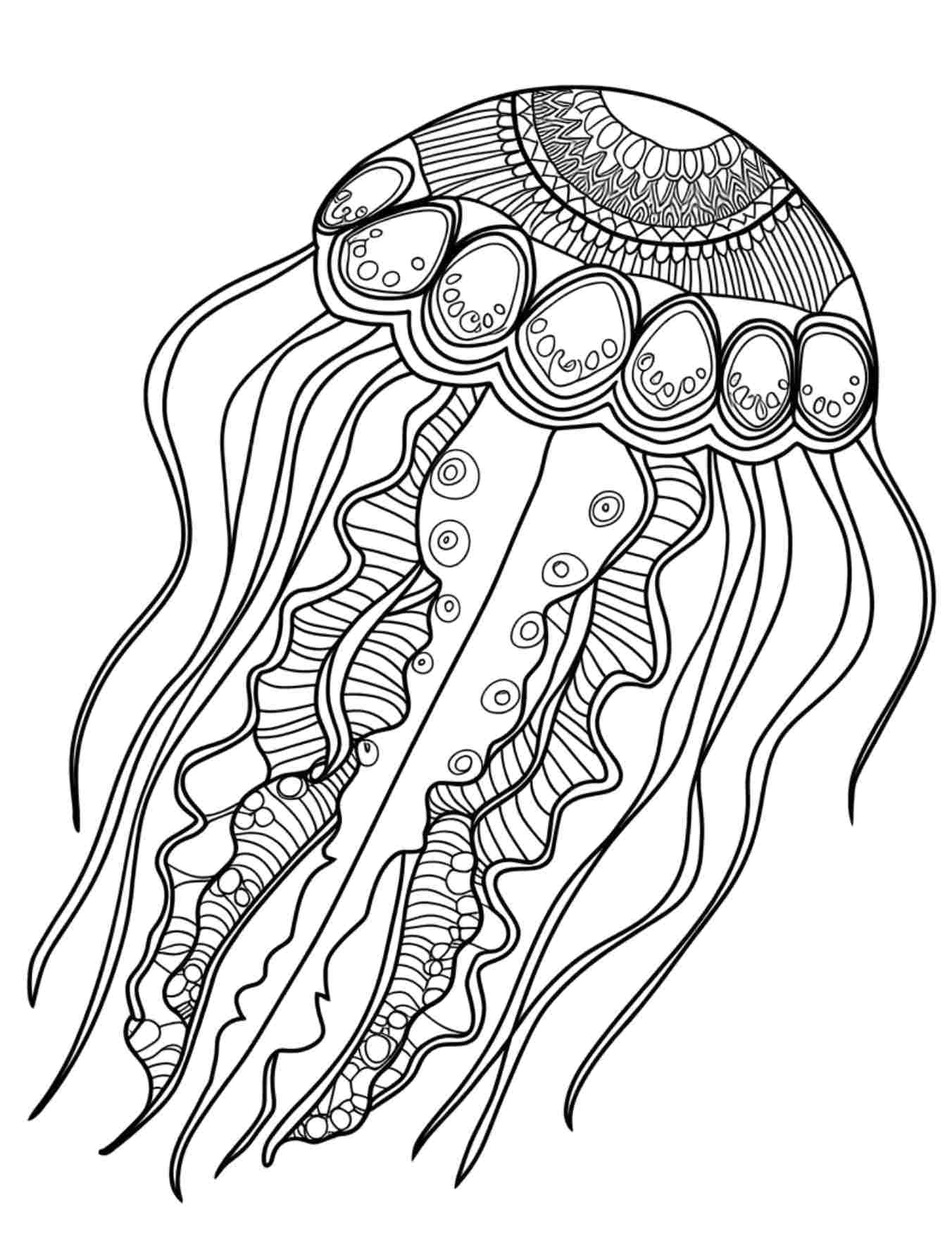20 Fun And Friendly Jellyfish Coloring Pages My Coloring Spot