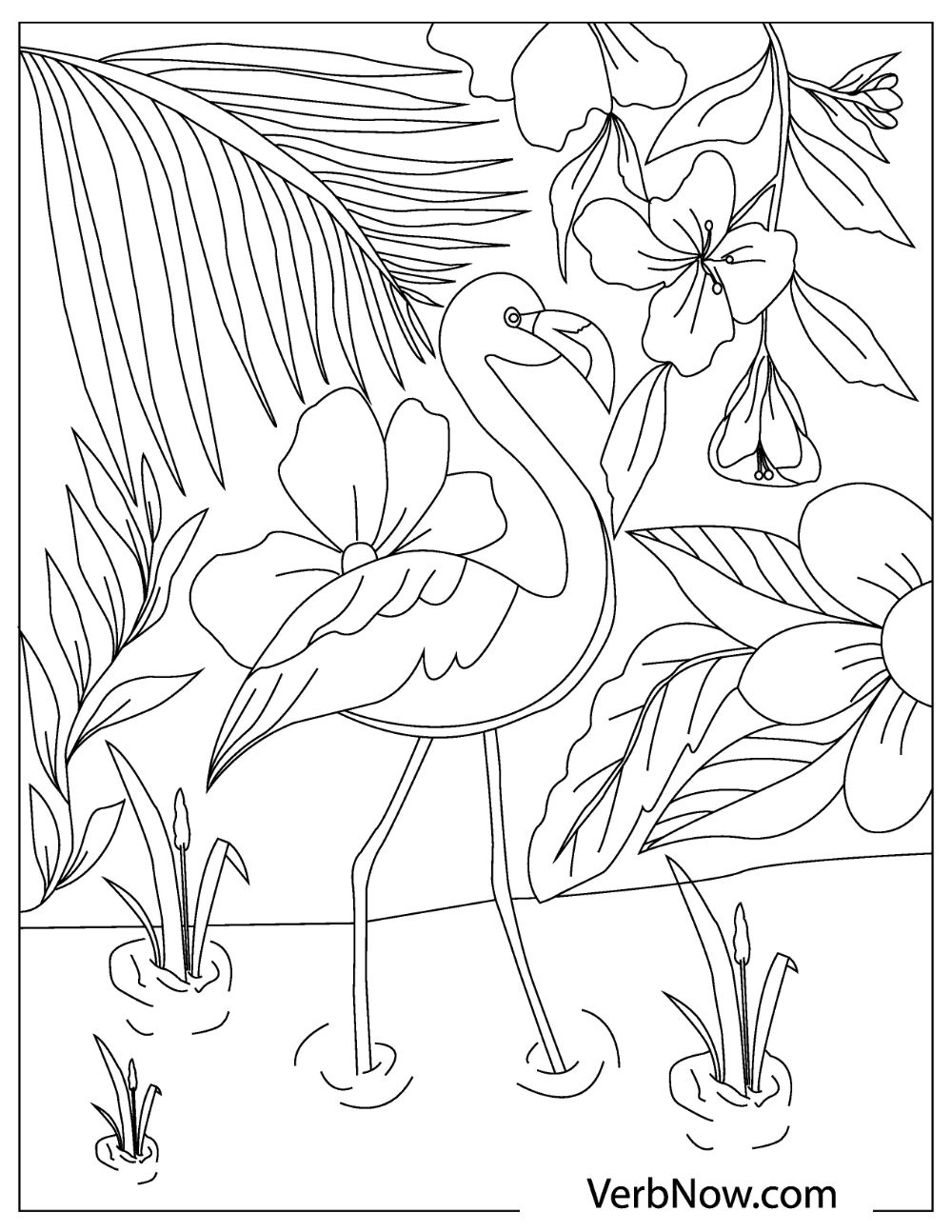 22 Flamingo Coloring Pages For Download Printable PDF 22 Flamingo Coloring Pages For Download Printable PDF