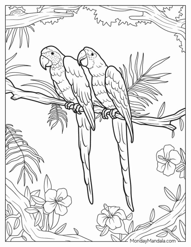 22 Parrot Coloring Pages Free PDF Printables 22 Parrot Coloring Pages Free PDF Printables