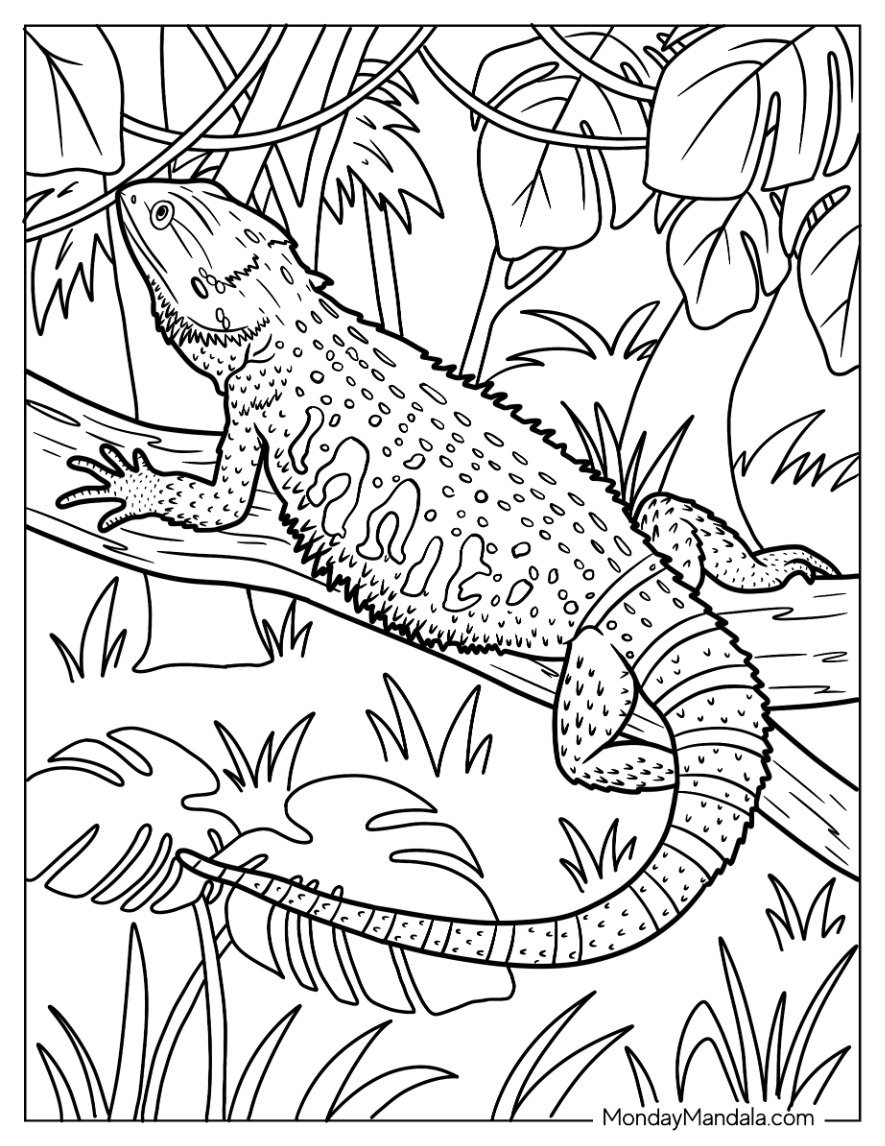24 Lizard Coloring Pages Free PDF Printables 24 Lizard Coloring Pages Free PDF Printables