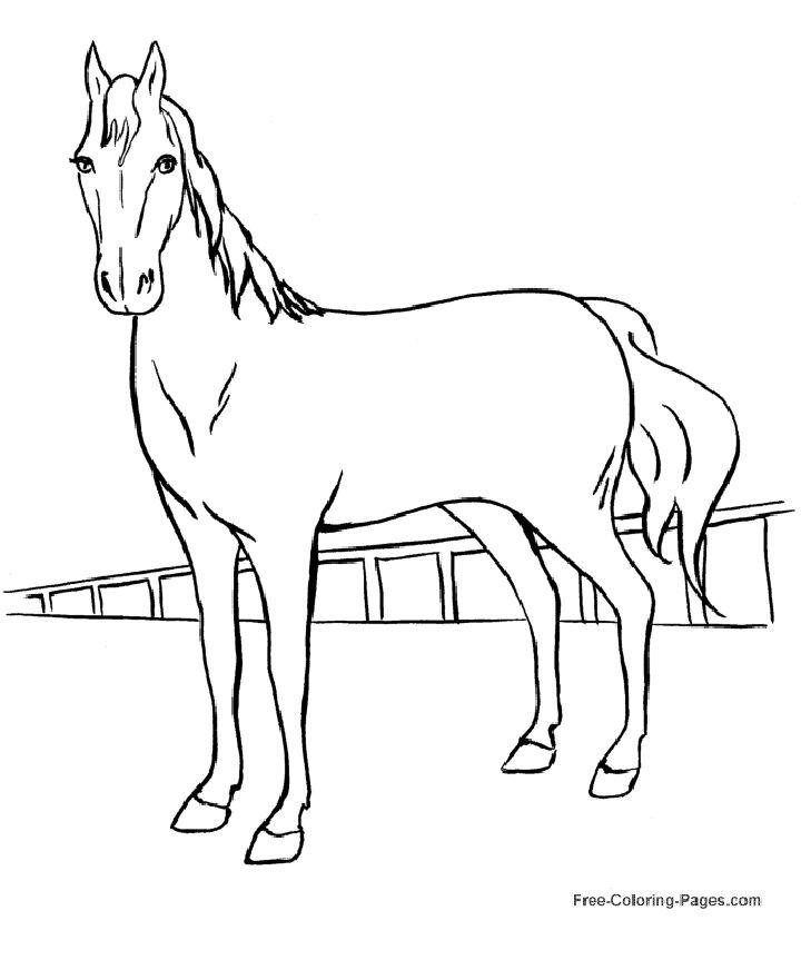 25 Free Horse Coloring Pages For Kids And Adults Blitsy 25 Free Horse Coloring Pages For Kids And Adults Blitsy
