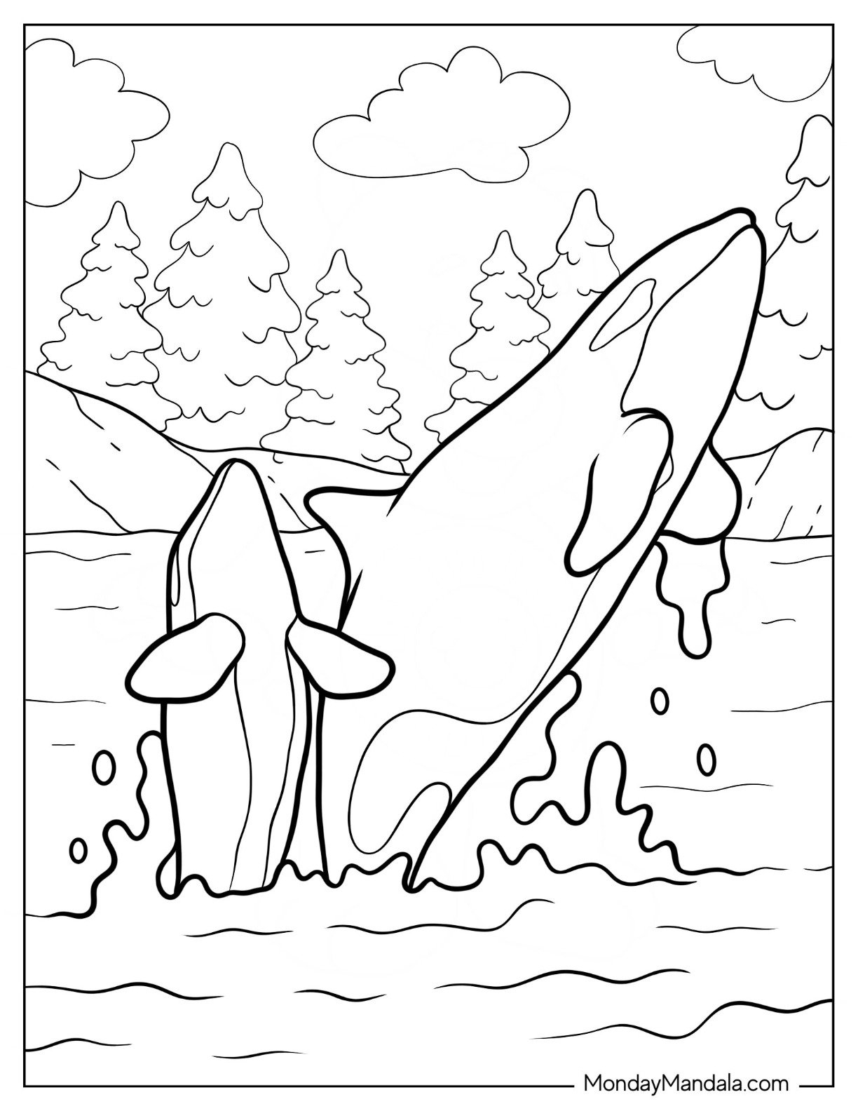 orca coloring page orca coloring page