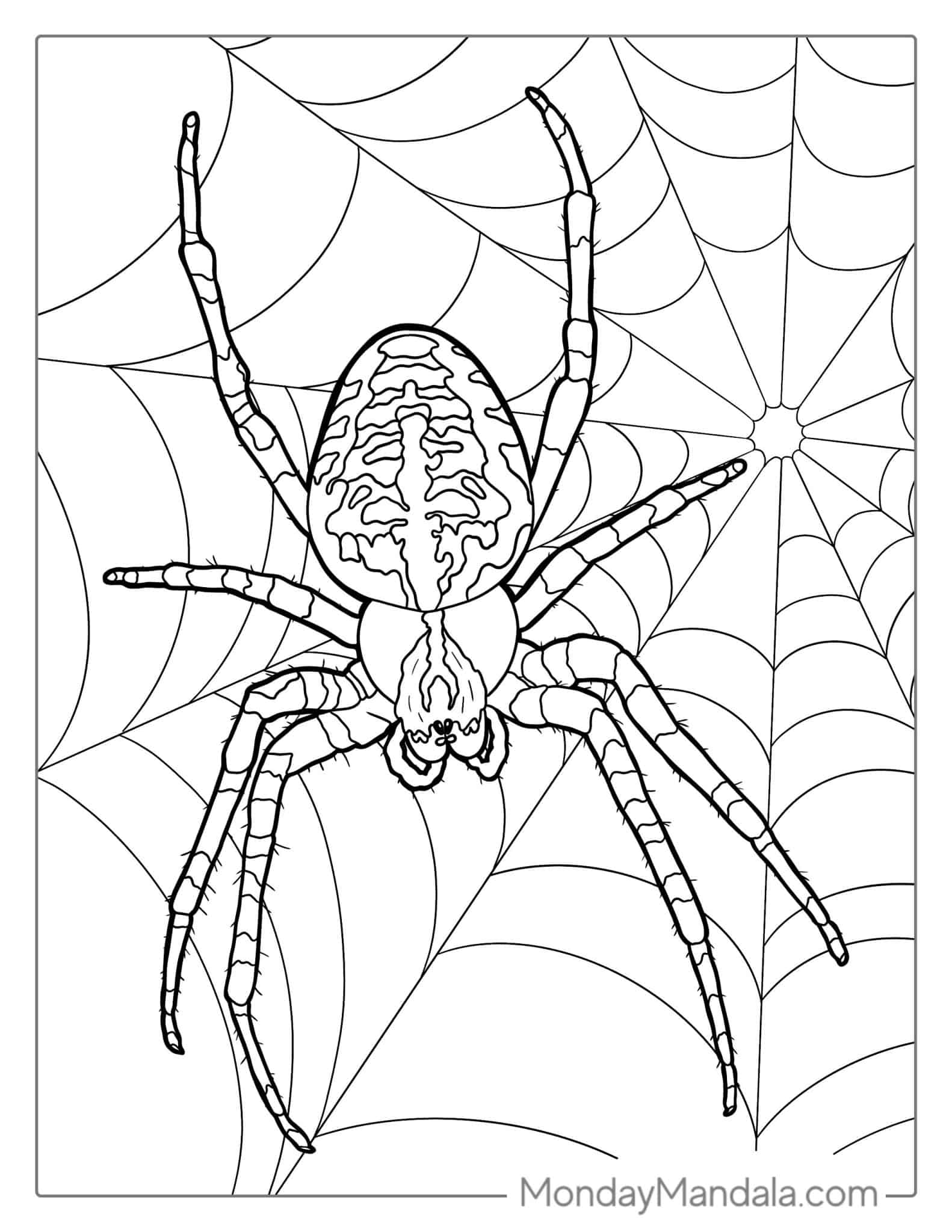 28 Spider Coloring Pages Free PDF Printables 