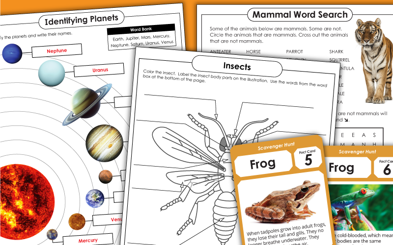 2nd Grade Science Worksheets Free Printable 2nd Grade Science Worksheets Free Printable