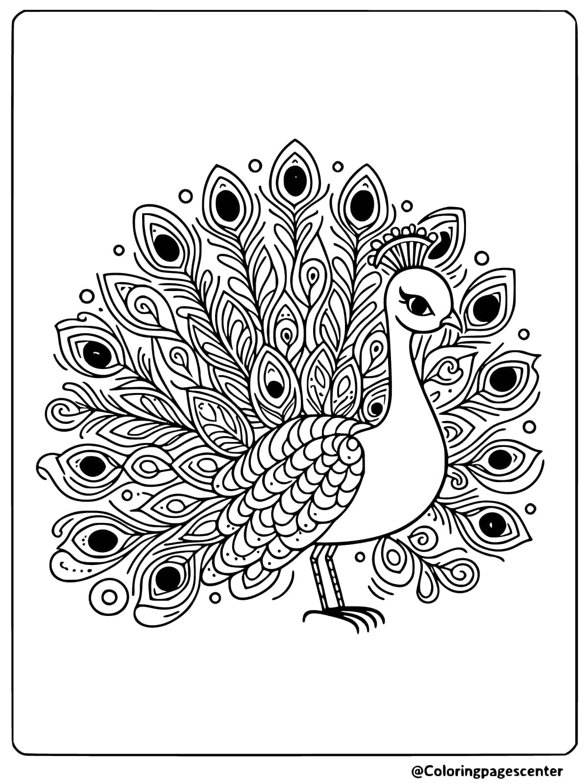 30 Peacock Coloring Pages Free Printable Coloring Pages