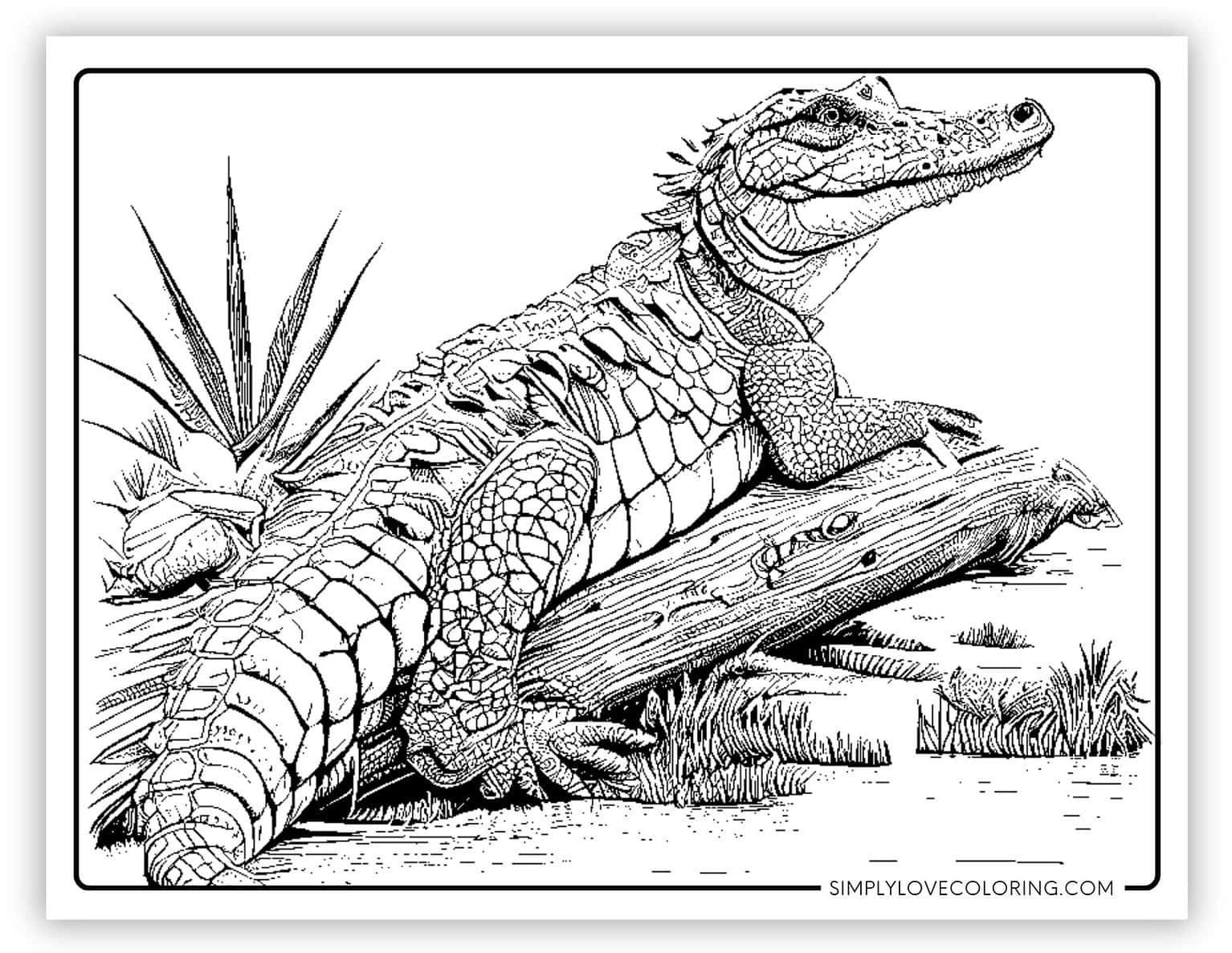 31 Alligator Coloring Pages Free PDF Printables Simply Love Coloring 31 Alligator Coloring Pages Free PDF Printables Simply Love Coloring