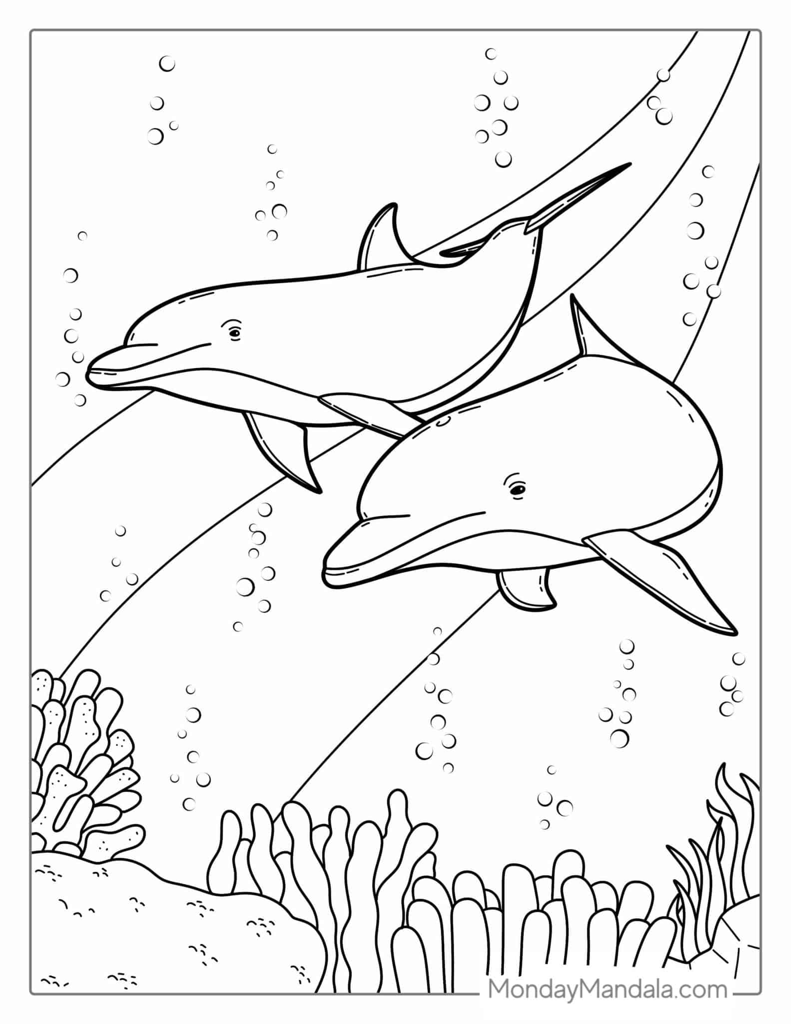 34 Dolphin Coloring Pages Free PDF Printables 