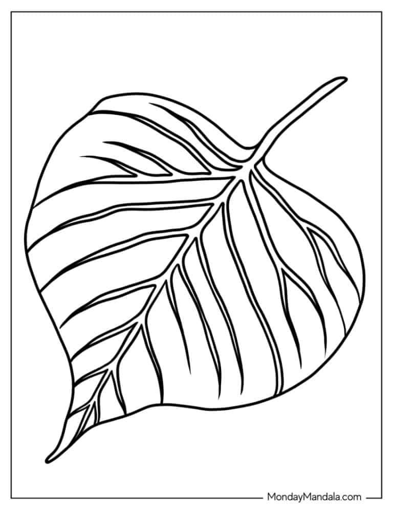 34 Leaf Coloring Pages Free PDF Printables 