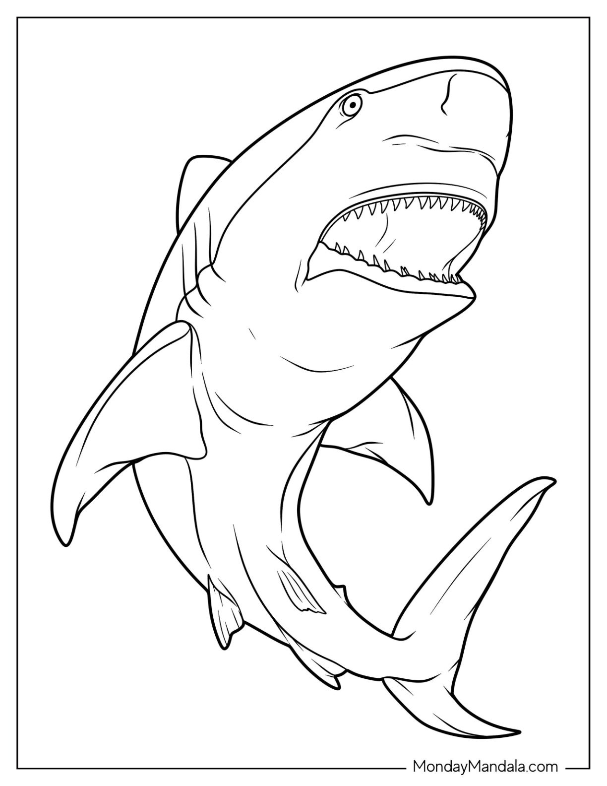34 Shark Coloring Pages Free PDF Printables 34 Shark Coloring Pages Free PDF Printables