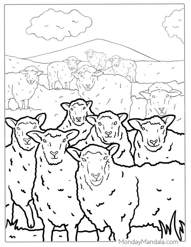 39 Sheep Coloring Pages Free PDF Printables 