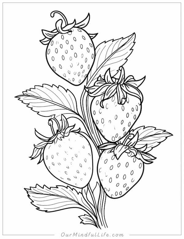 40 Delicious Strawberry Coloring Pages Free Printable Our Mindful Life