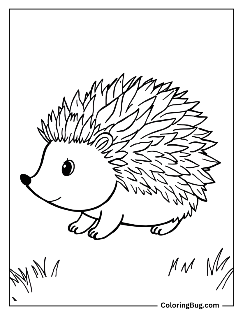 40 Hedgehog Coloring Pages Free Printable PDFs 
