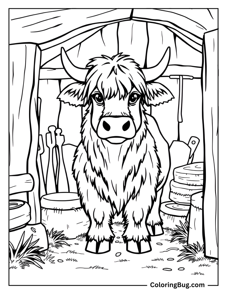 highland cow coloring page highland cow coloring page