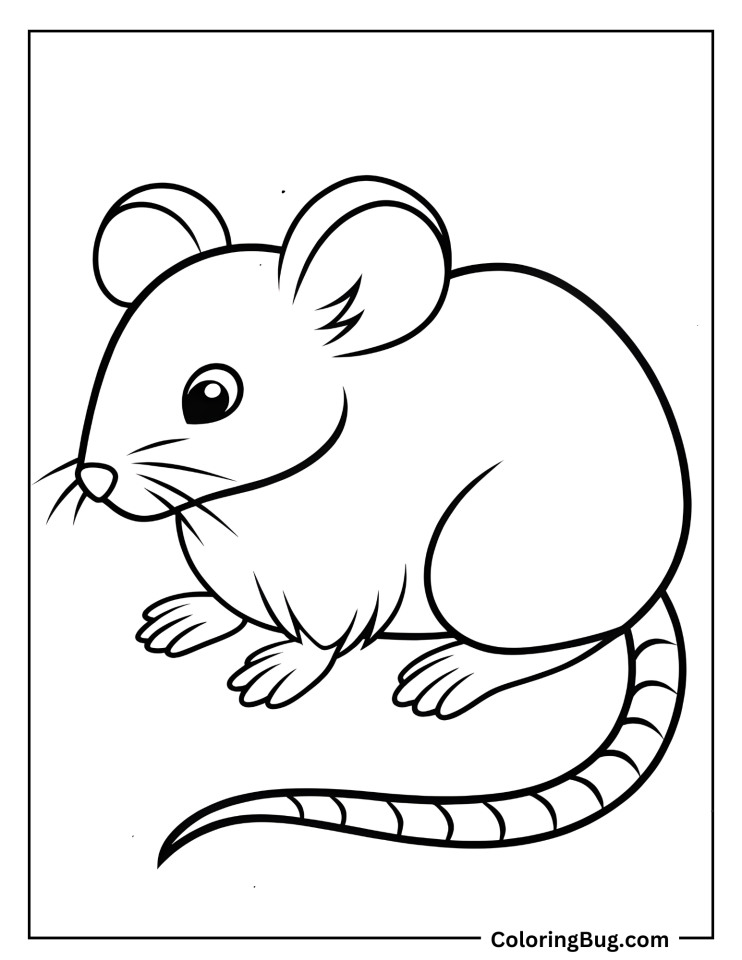 40 Mouse Coloring Pages Free Printable PDFs 40 Mouse Coloring Pages Free Printable PDFs