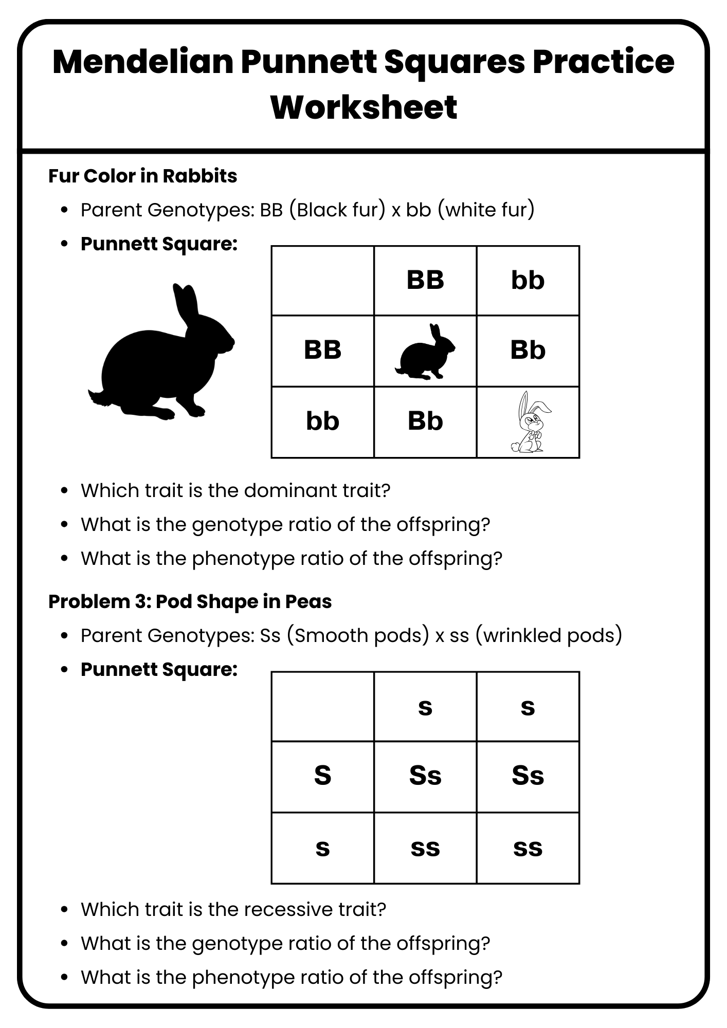 punnett square practice worksheet