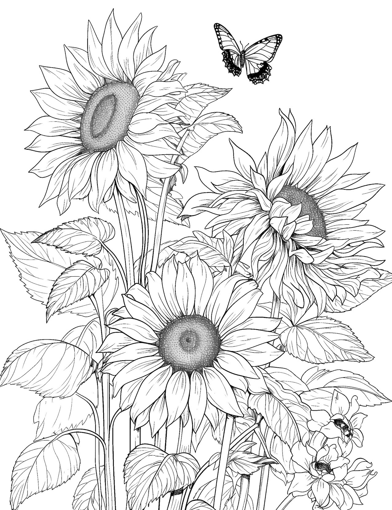 47 Sunflower Coloring Pages Free Printable Our Mindful Life