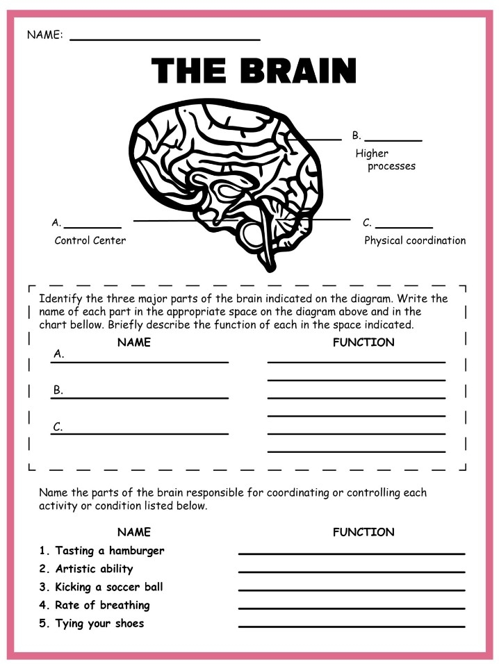 4th Grade Science Worksheets 4th Grade Science Worksheets