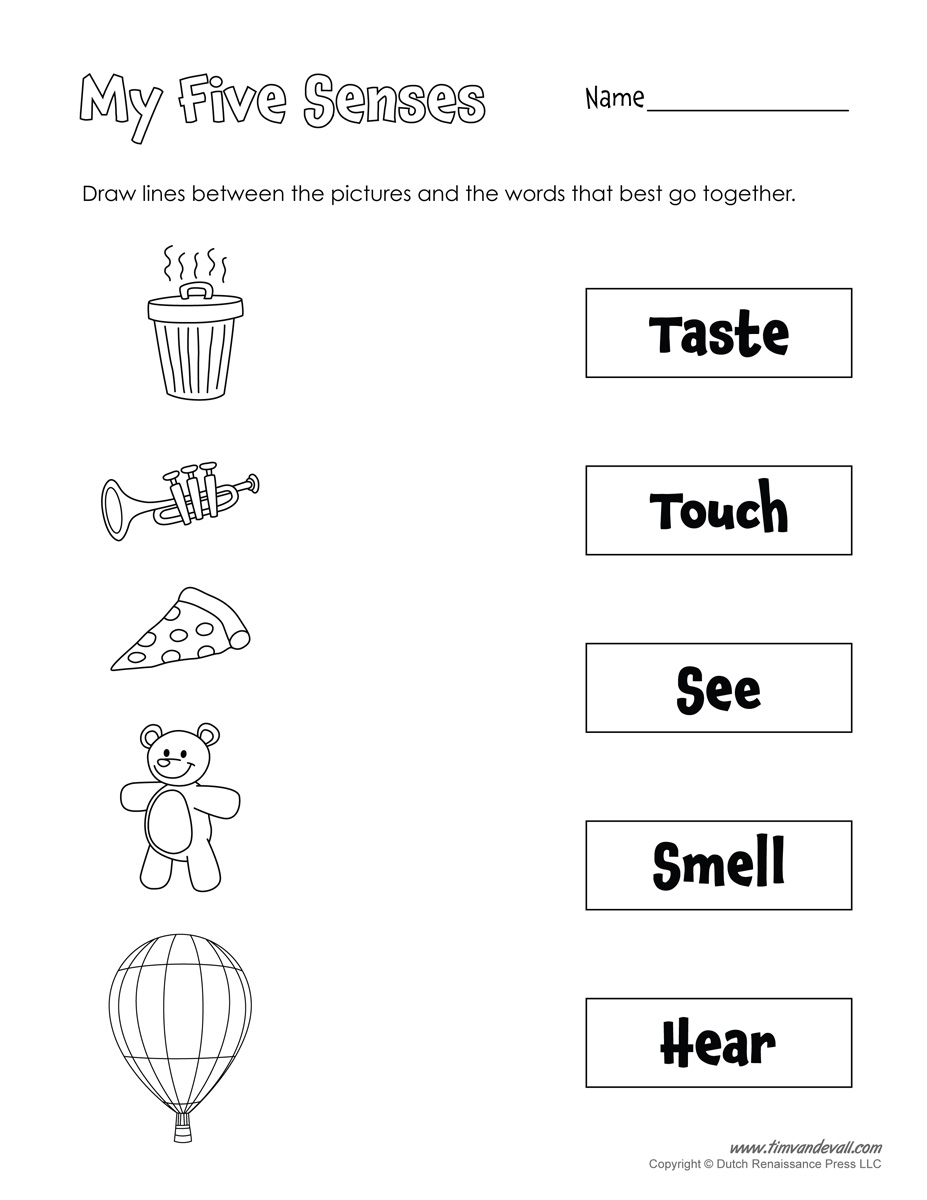 5 Senses Free Printable 5 Senses Free Printable