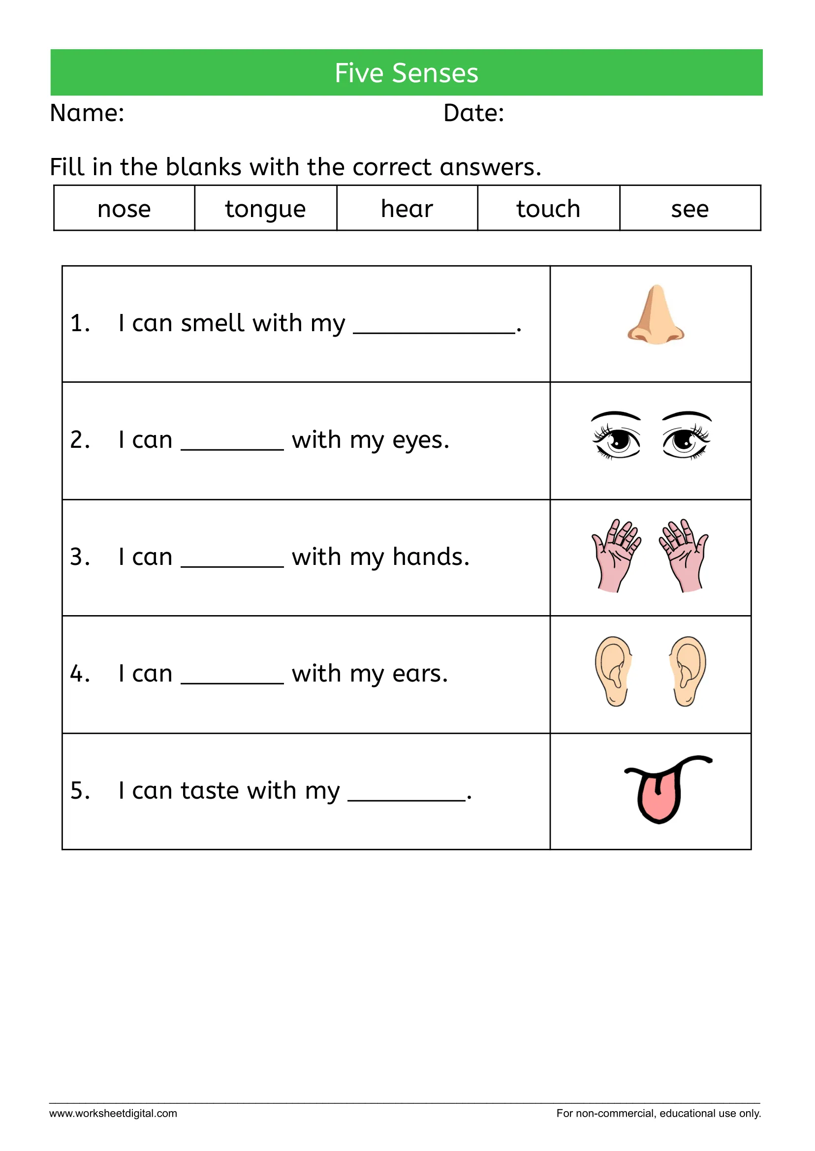 5 Senses Worksheets 5 Senses Worksheets