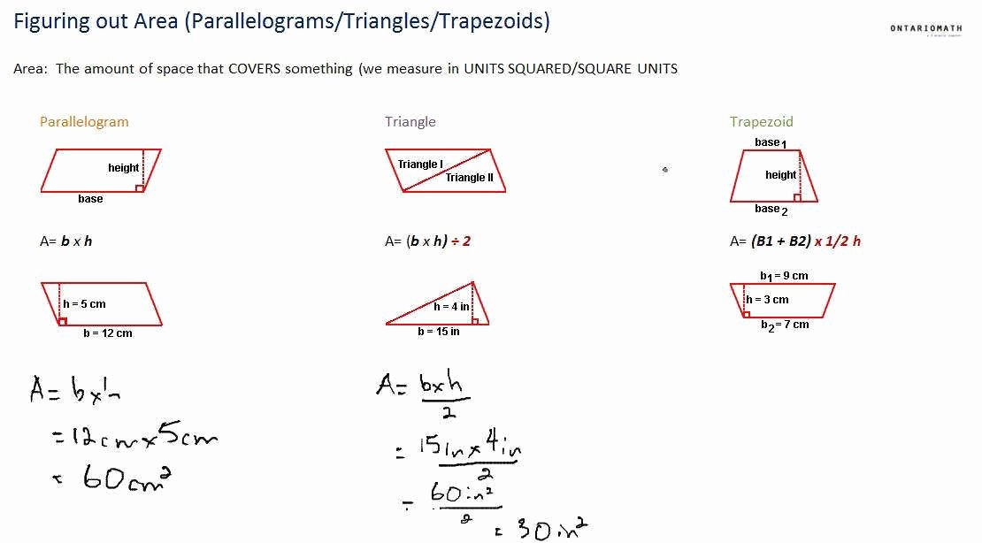 50 Area Of Parallelogram Worksheet 50 Area Of Parallelogram Worksheet