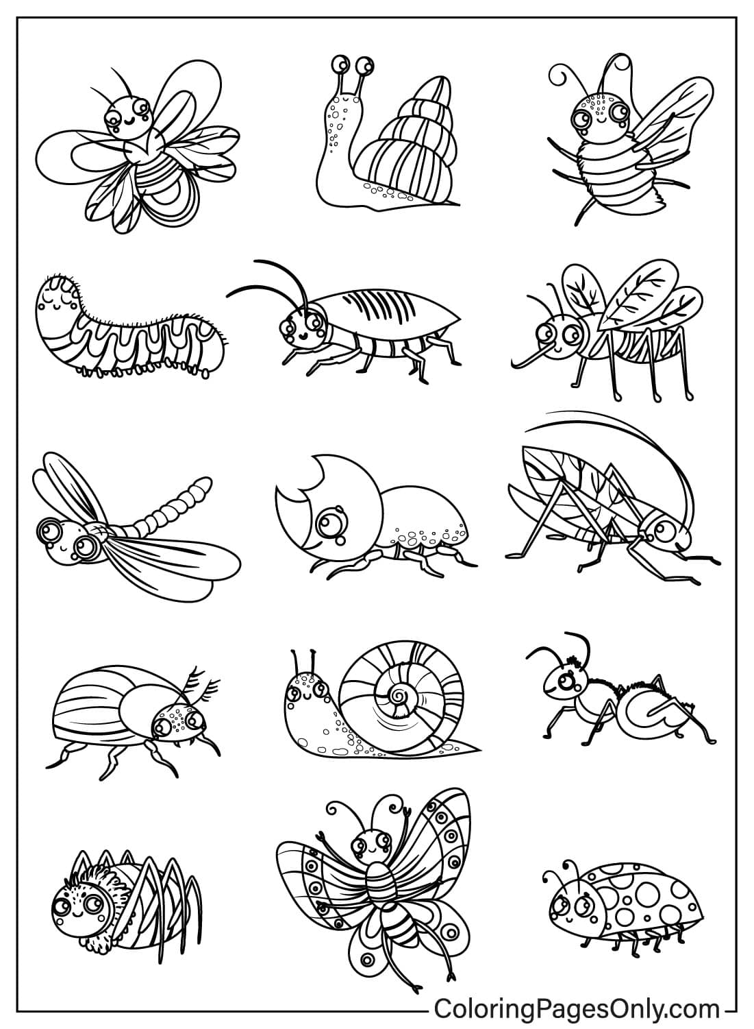 50 Bugs Coloring Pages Free Printable PDF Online Coloring 50 Bugs Coloring Pages Free Printable PDF Online Coloring