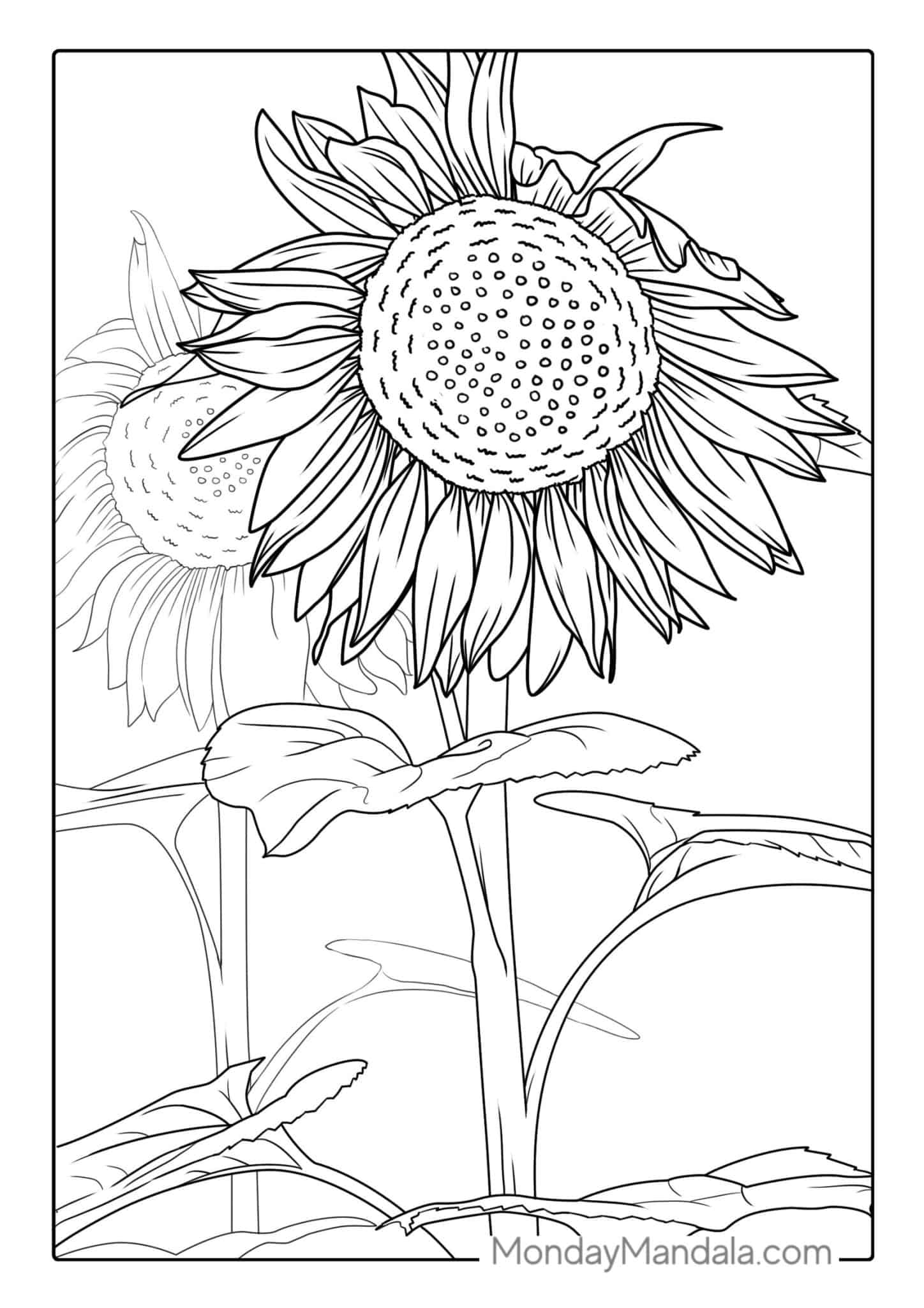 54 Sunflower Coloring Pages Free PDF Printables 