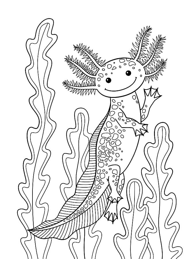 axolotl coloring page