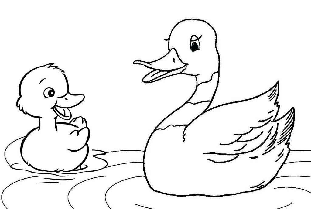 7 Fun Duck And Ducklings Coloring Pages For Children Coloring Pages 7 Fun Duck And Ducklings Coloring Pages For Children Coloring Pages