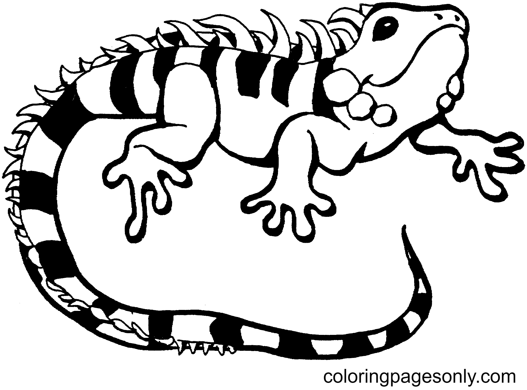 71 Lizard Coloring Pages ColoringPagesOnly 71 Lizard Coloring Pages ColoringPagesOnly