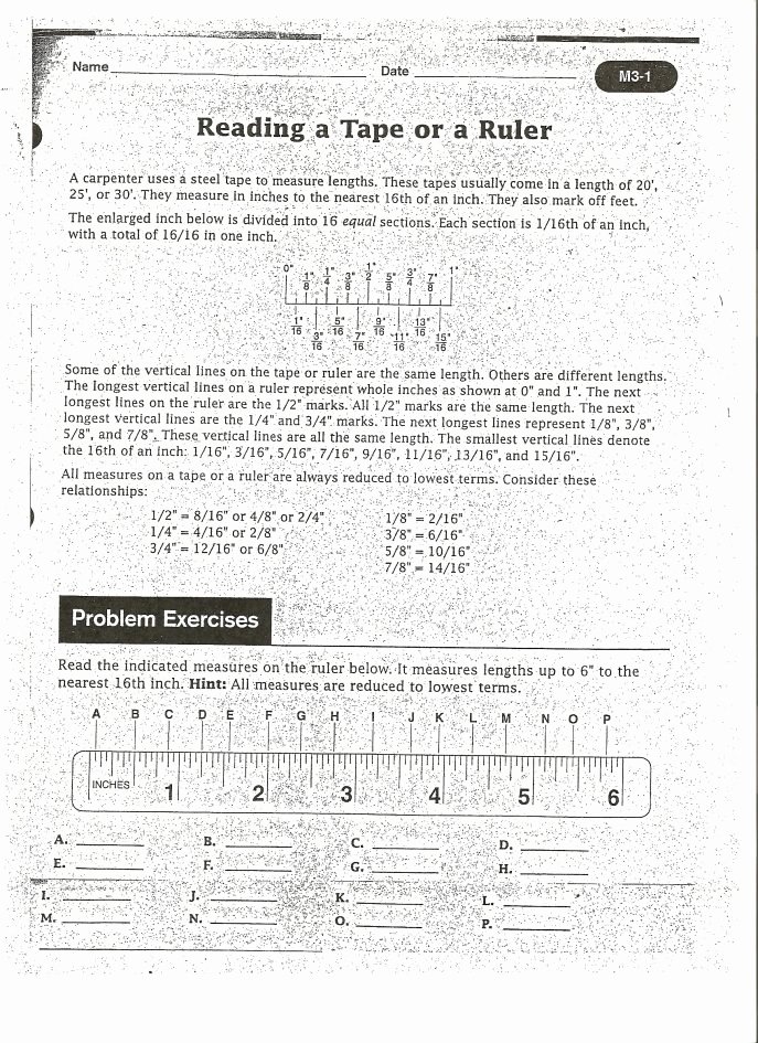 85 Reading A Tape Measure Worksheets 81 Printable PDF Template 85 Reading A Tape Measure Worksheets 81 Printable PDF Template