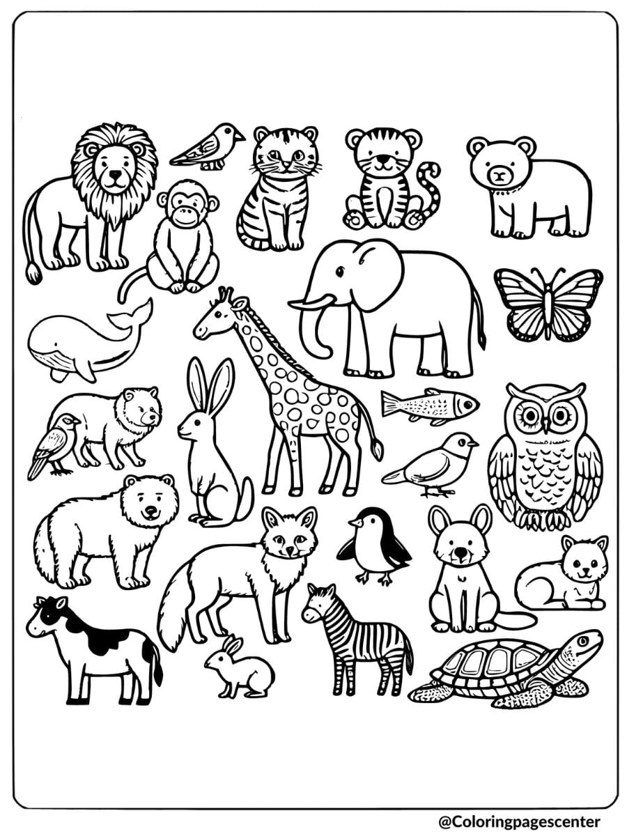 Animal Coloring Pages For Children Learn And Color Sara Abbott Kabar 