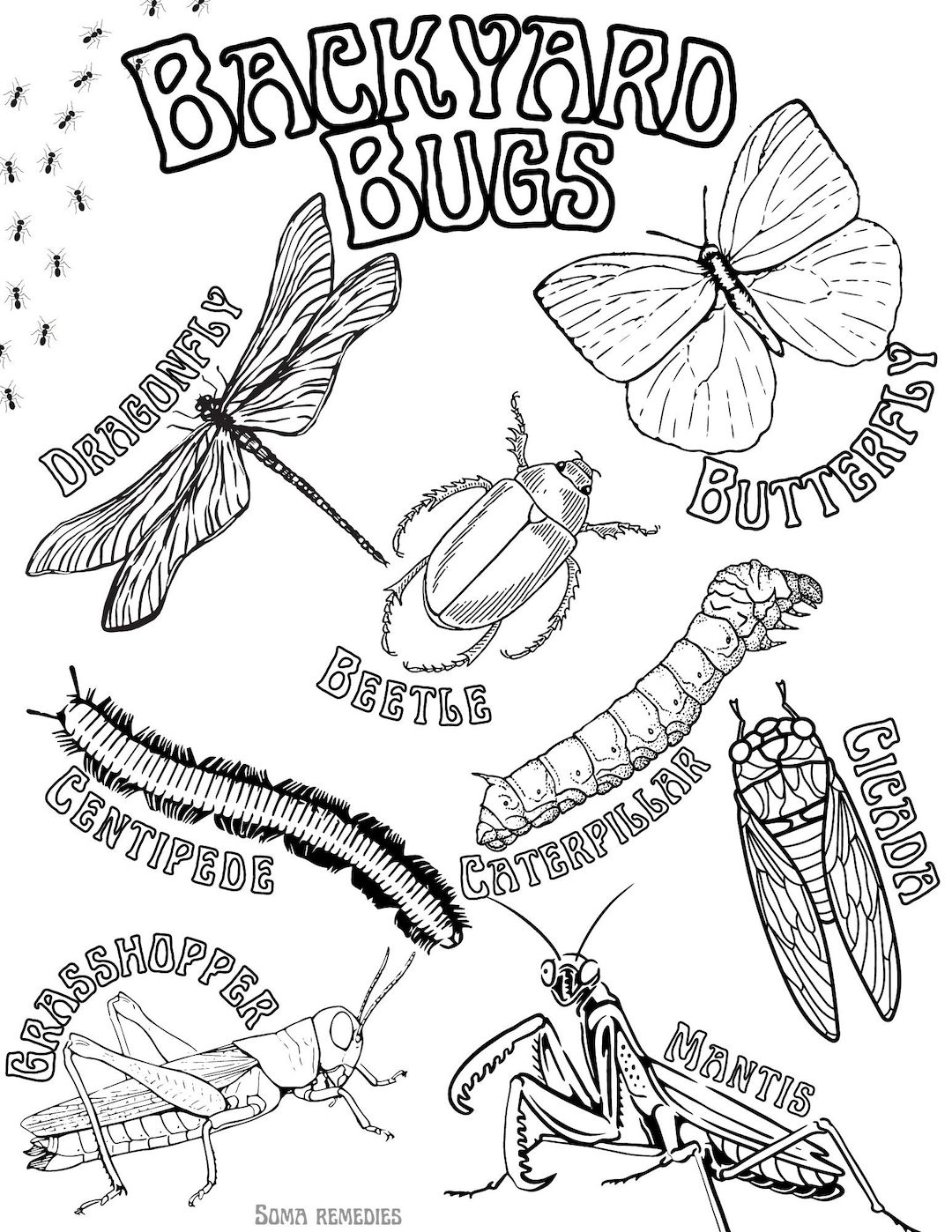 Backyard Bugs Coloring Page Nature And Plant Coloring Pages Backyard Bugs Coloring Page Nature And Plant Coloring Pages
