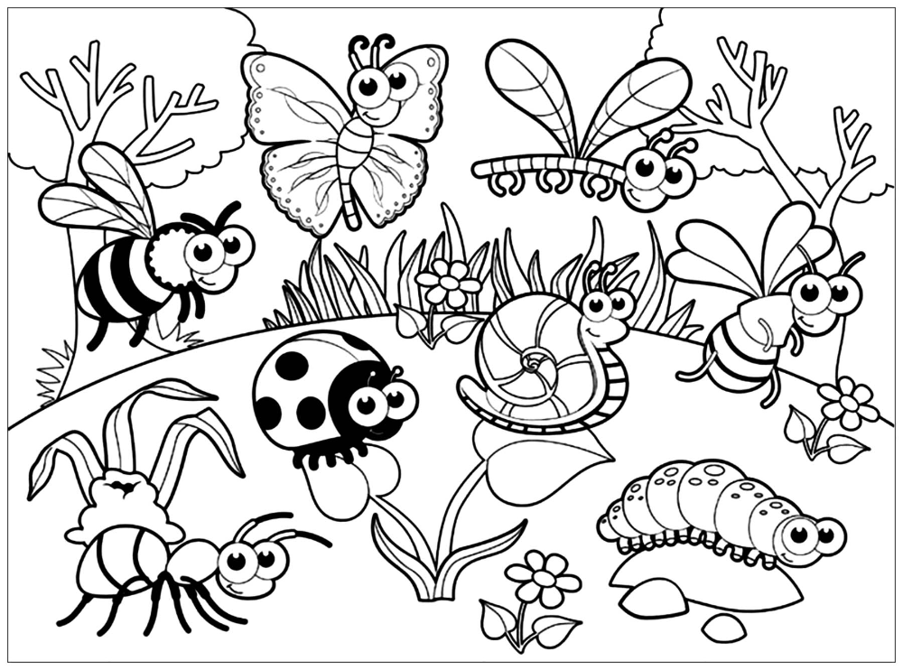 Beautiful Insects Coloring Page Beautiful Insects Coloring Page