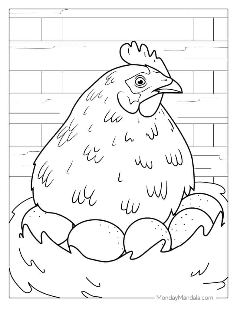 Big Chicken Coloring Pages 2025 