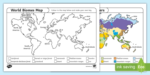 biome map coloring worksheet
