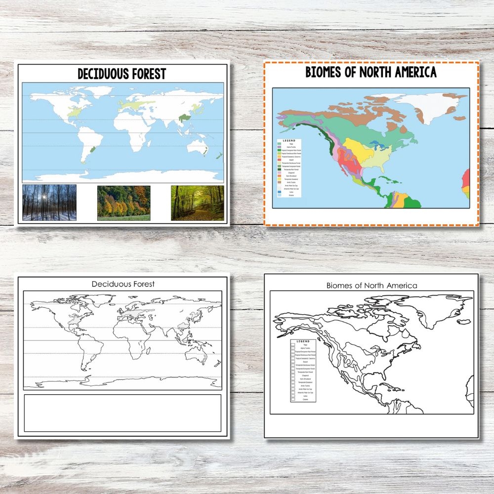 Biomes Coloring Pages Worksheets 2025 