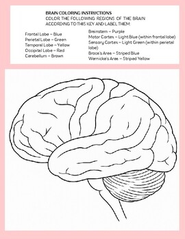 Brainstorm In Color By The Cozy Copy Room TPT