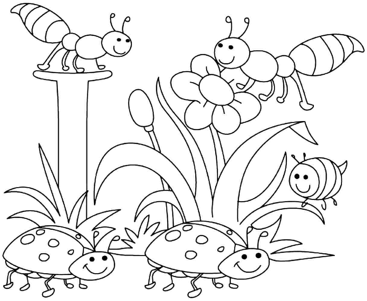Bugs Coloring Pages Preschool At GetColorings Free Printable Bugs Coloring Pages Preschool At GetColorings Free Printable