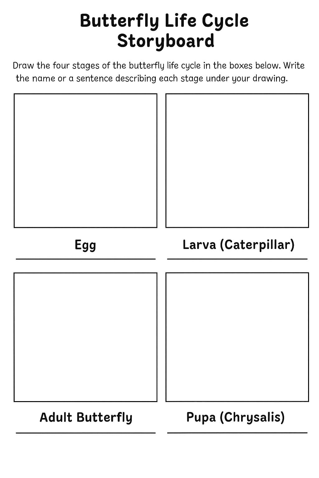 Butterfly Life Cycle Storyboard Worksheet Download Print Now 
