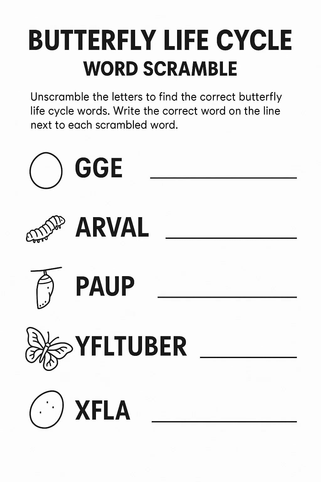 worksheet life cycle of butterfly