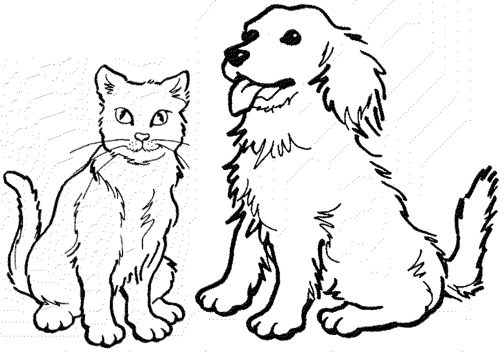 cat and dog coloring pages cat and dog coloring pages