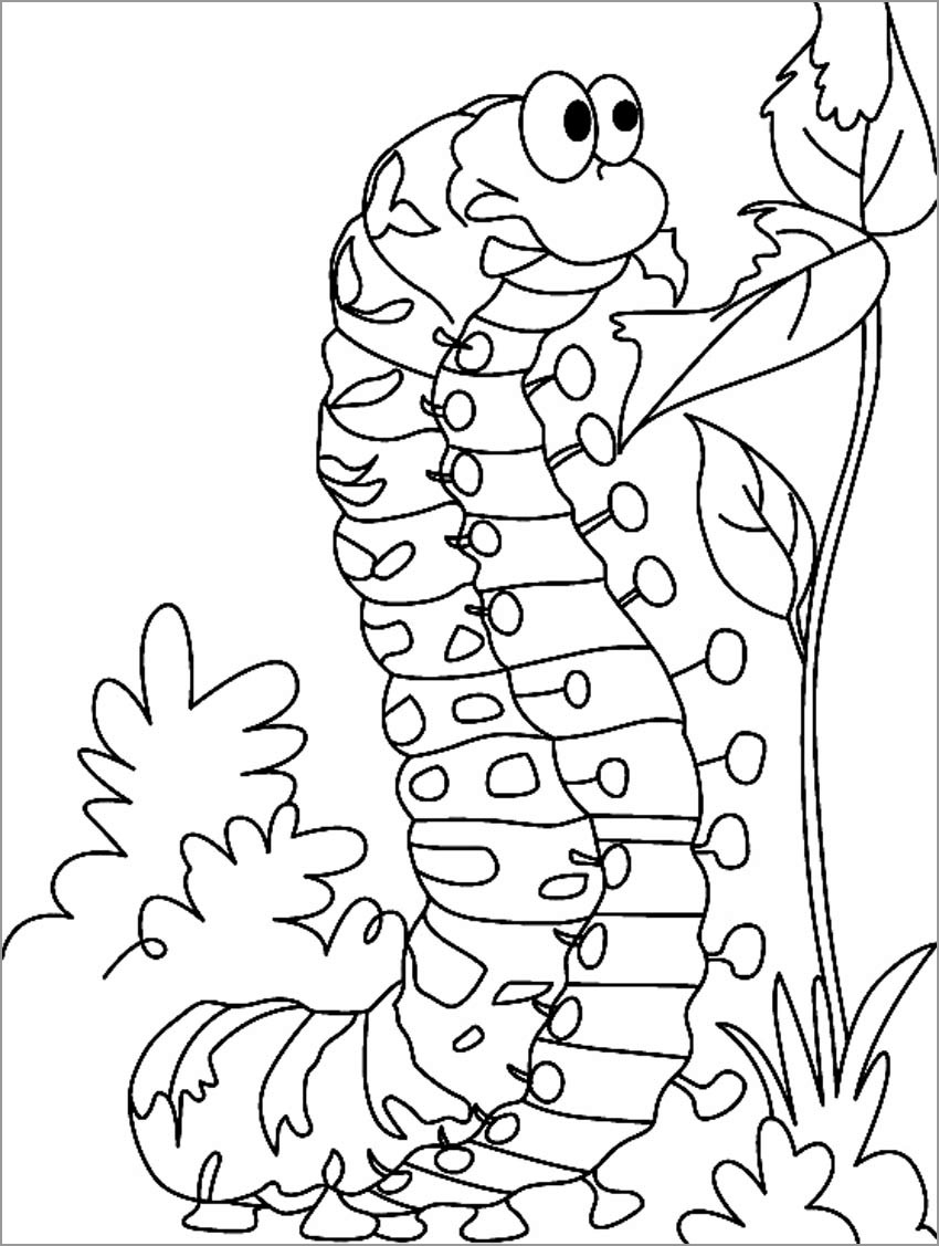 Caterpillar Coloring Pages ColoringBay