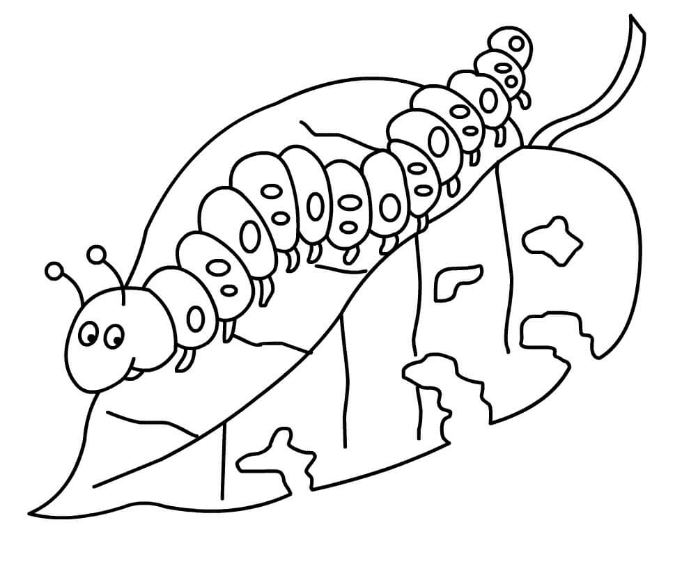 Caterpillar Coloring Pages Printable Coloring Pages FREE