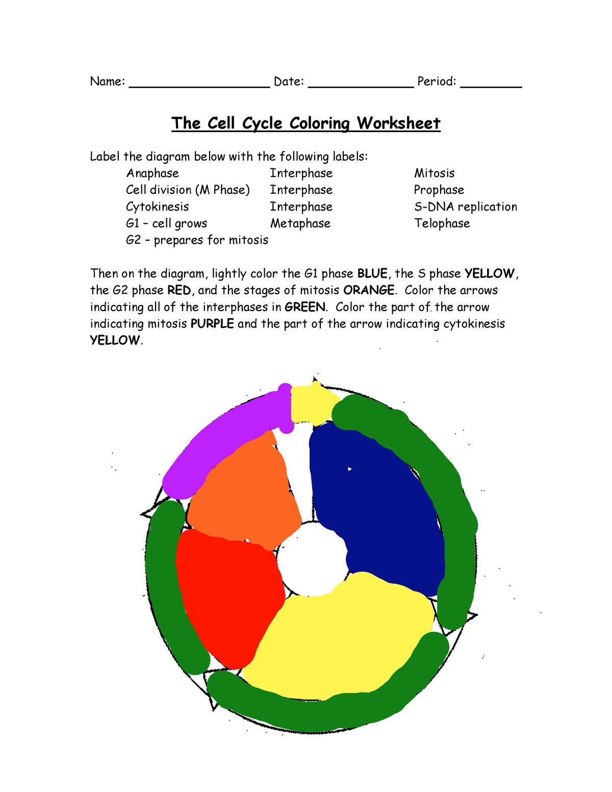 Cell Cycle Worksheet N A Name Date Period The Cell Cycle Cell Cycle Worksheet N A Name Date Period The Cell Cycle