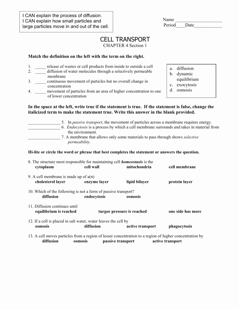 Cell Transport Review Worksheet New Cellular Transport Worksheets 